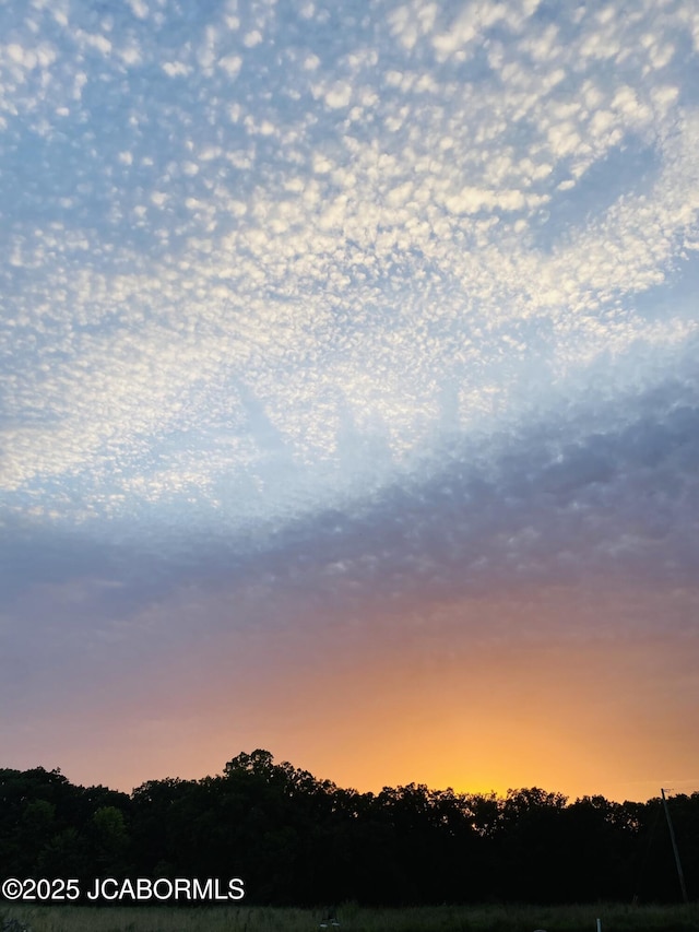 8596 County Rd 146, Williamsburg, MO 63388 - view of nature at dusk