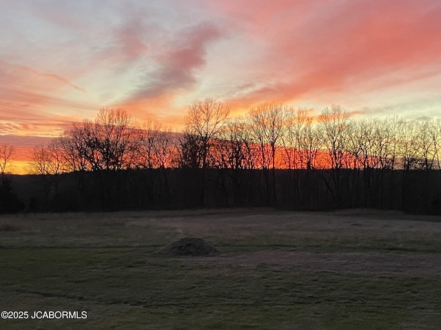 8596 County Rd 146, Williamsburg, MO 63388 - view of yard at dusk