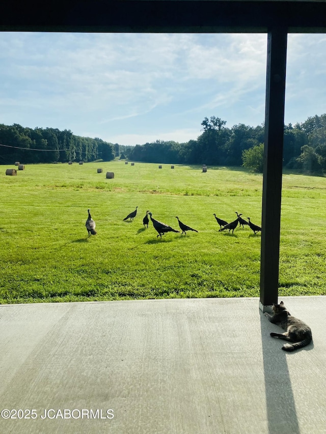 8596 County Rd 146, Williamsburg, MO 63388 - view of community featuring a yard and a rural view