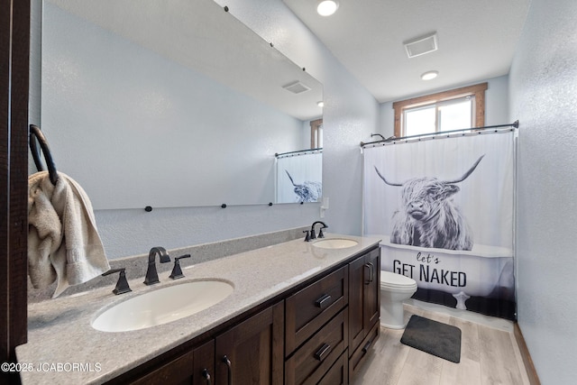 8596 County Rd 146, Williamsburg, MO 63388 - bathroom featuring a sink, toilet, wood finished floors, and visible vents