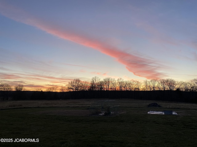 8596 County Rd 146, Williamsburg, MO 63388 - view of yard
