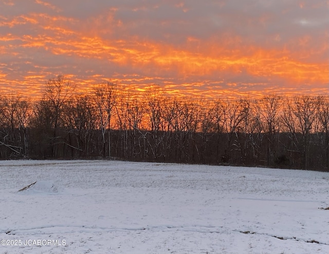 8596 County Rd 146, Williamsburg, MO 63388 - view of yard layered in snow
