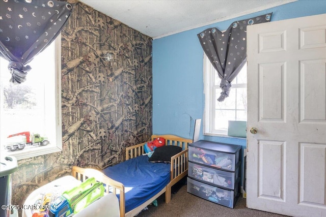 97 Stoddard Rd, Olean, MO 65064 - view of carpeted bedroom