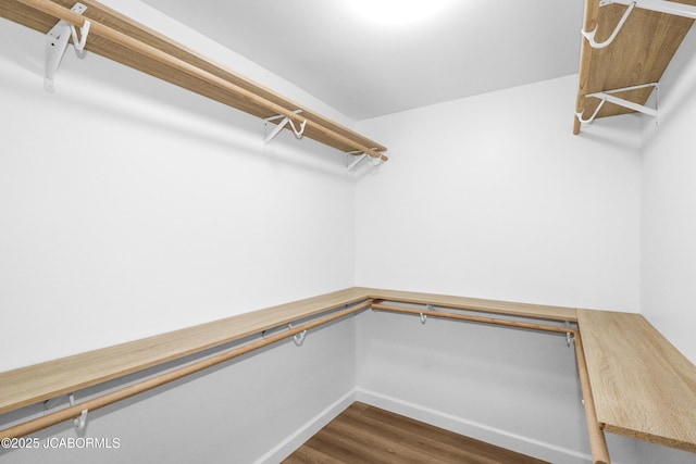 1214 Lynn St, Fulton, MO 65251 - walk in closet with dark wood-style flooring