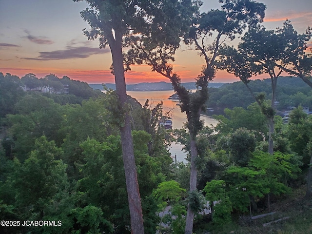 21 Enclaves Ln, Lake Ozark, MO 65049