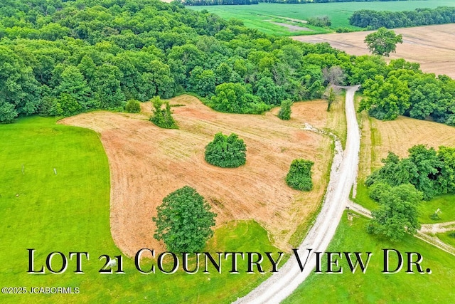 LOT21 Country View Dr, Tebbetts, MO 65080 - photo 2