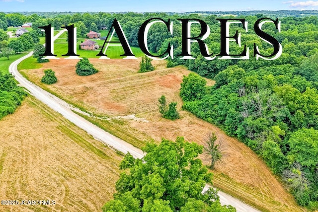 LOT21 Country View Dr, Tebbetts, MO 65080 - photo 1