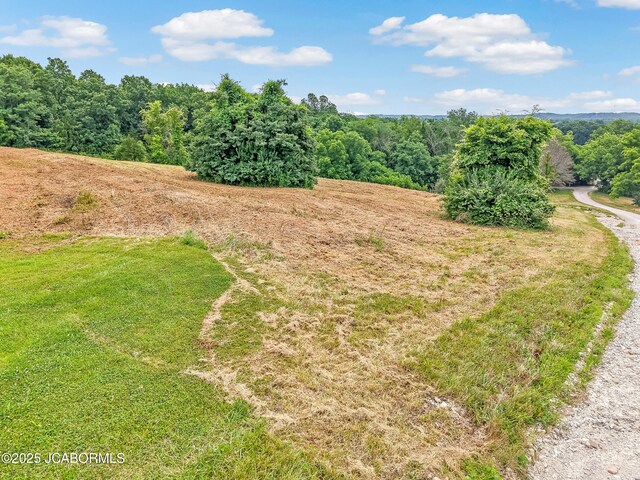 LOT21 Country View Dr, Tebbetts, MO 65080 - photo 6