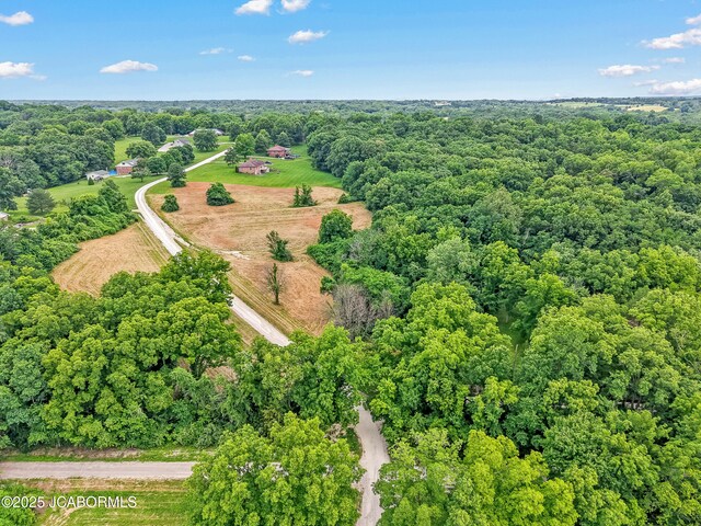 LOT21 Country View Dr, Tebbetts, MO 65080 - photo 4