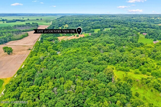 LOT21 Country View Dr, Tebbetts, MO 65080 - photo 7