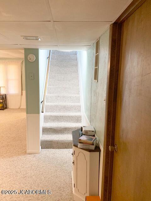 staircase featuring carpet floors