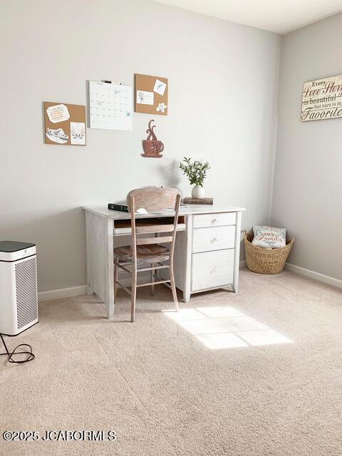 office featuring light colored carpet