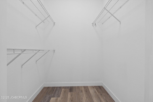 walk in closet featuring dark wood-style floors