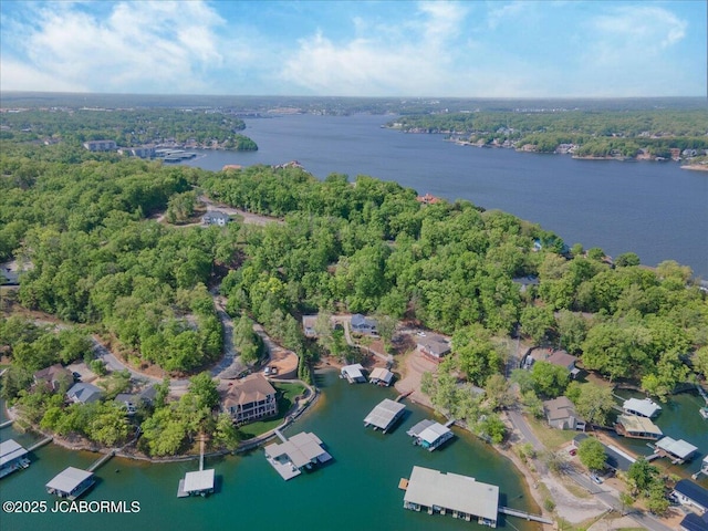 birds eye view of property featuring a water view and a forest view
