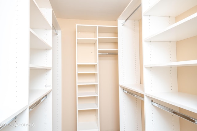 view of spacious closet