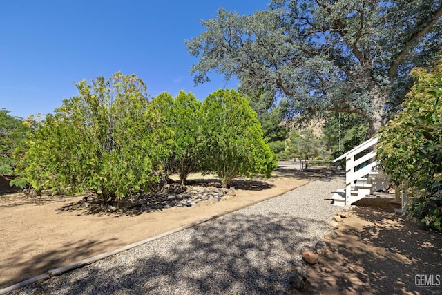 3113 Raccoon Dr, Lake Isabella, CA 93240 - view of yard