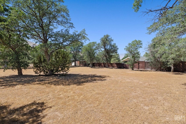 3113 Raccoon Dr, Lake Isabella, CA 93240 - view of yard