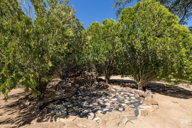 3113 Raccoon Dr, Lake Isabella, CA 93240 - view of local wilderness