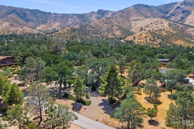 3113 Raccoon Dr, Lake Isabella, CA 93240 - view of mountain backdrop