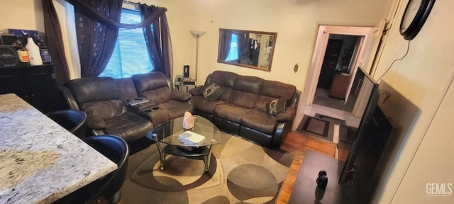 living room with hardwood / wood-style floors