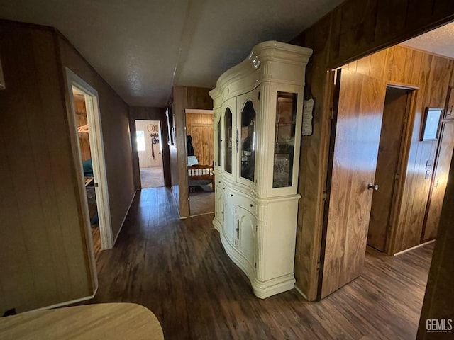 corridor with dark wood-style flooring and wood walls