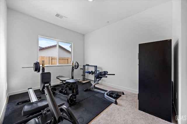 workout area with carpet