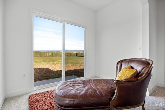 sitting room featuring carpet floors