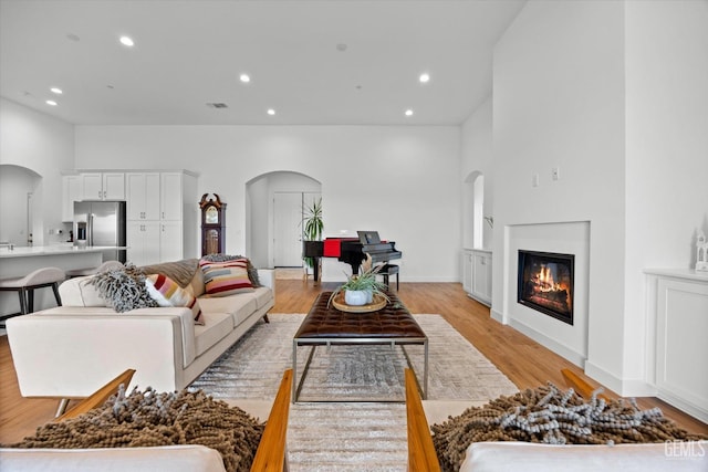 living room featuring light hardwood / wood-style flooring