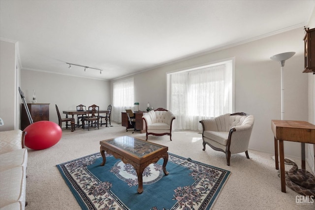 living room featuring carpet flooring, crown molding, and track lighting