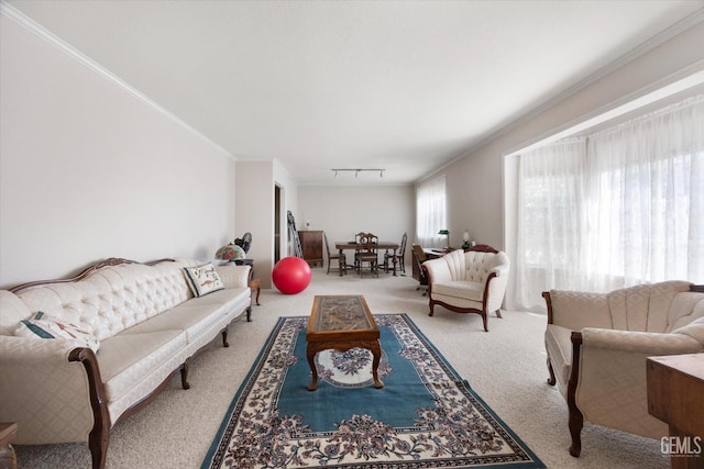 carpeted living area with crown molding and rail lighting