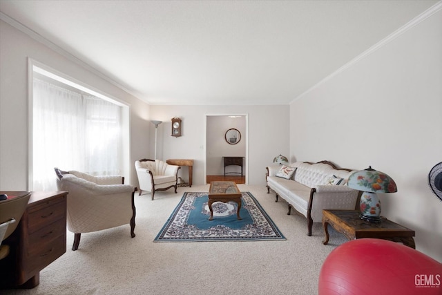 living area featuring carpet and ornamental molding