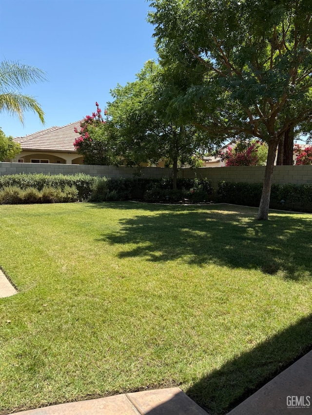 2410 Exton St, Bakersfield, CA 93311 - view of yard