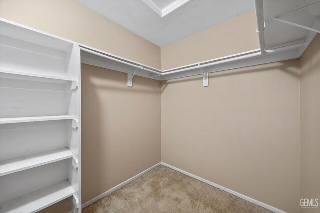 11602 Trabancos Dr, Bakersfield, CA 93311 - spacious closet with carpet flooring