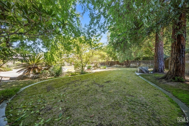 11717 Old Town Rd, Bakersfield, CA 93312 - view of yard