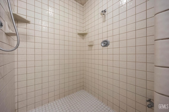 11717 Old Town Rd, Bakersfield, CA 93312 - full bathroom with a tile shower