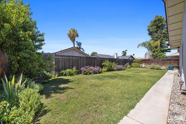 9913 Mark Twain Ave, Bakersfield, CA 93312 - view of fenced backyard