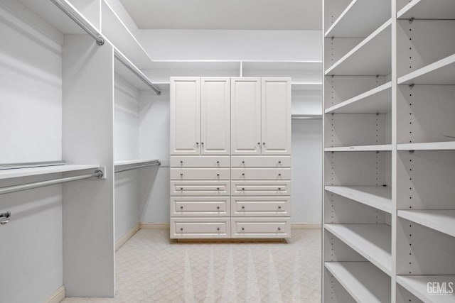 view of spacious closet