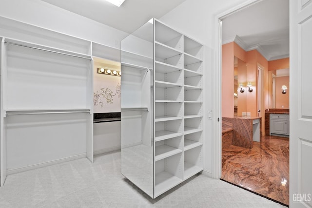 walk in closet with light colored carpet