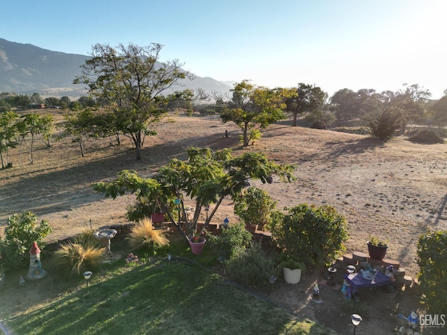 bird's eye view featuring a mountain view and a rural view