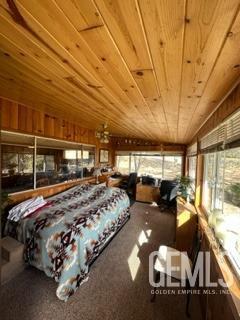 bedroom featuring carpet, wood walls, and wooden ceiling