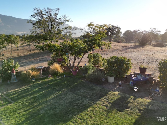 view of yard with a mountain view and a rural view