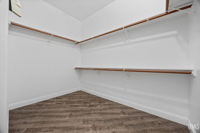 walk in closet with dark wood-style flooring