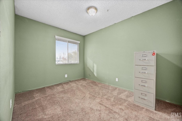 spare room featuring light colored carpet and a textured ceiling