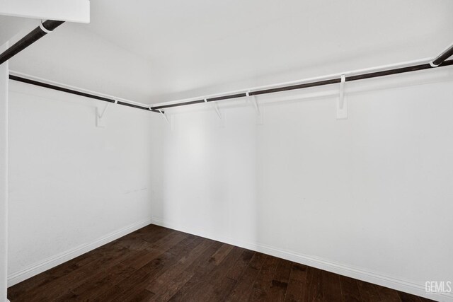 empty room featuring ceiling fan and wood-type flooring