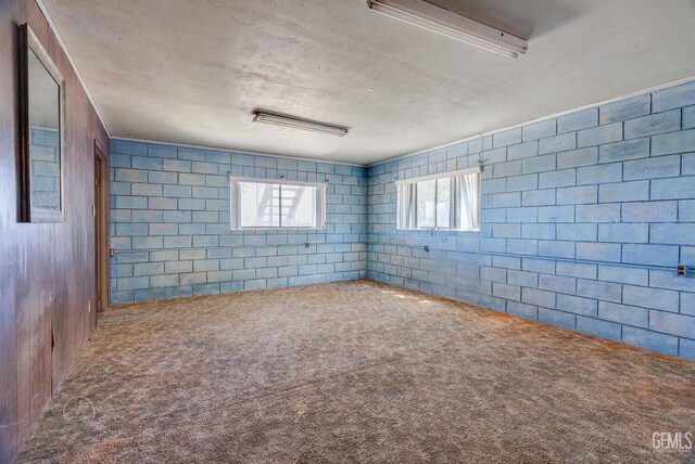 728 D St, Taft, CA 93268 - basement featuring carpet floors, a textured ceiling, and concrete block wall