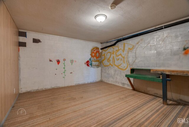 728 D St, Taft, CA 93268 - basement featuring a textured ceiling, concrete block wall, and carpet flooring