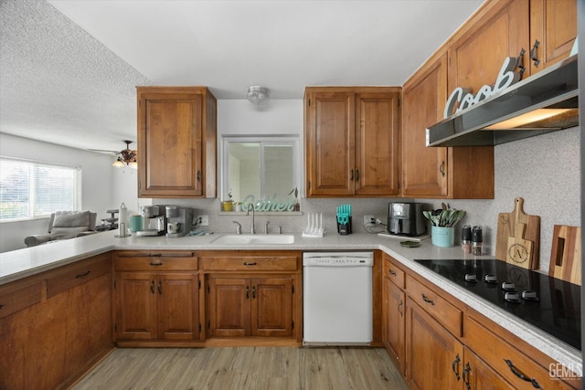 kitchen with brown cabinetry, white dishwasher, black electric cooktop, under cabinet range hood, and a sink