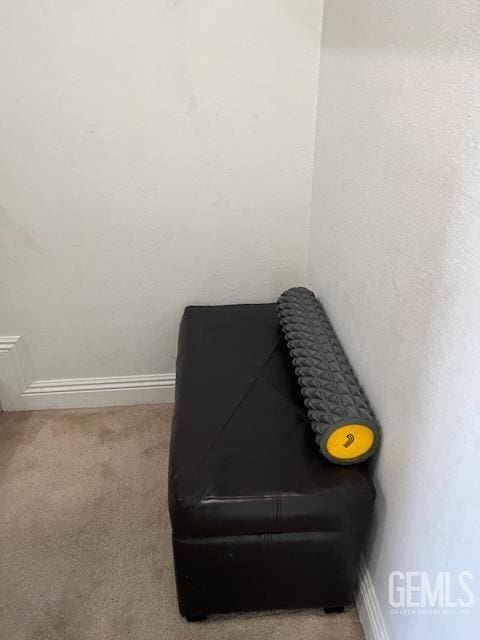 2626 E Cleo Ct Unit 29, Bakersfield, CA 93306 - detailed view of carpet floors and baseboards