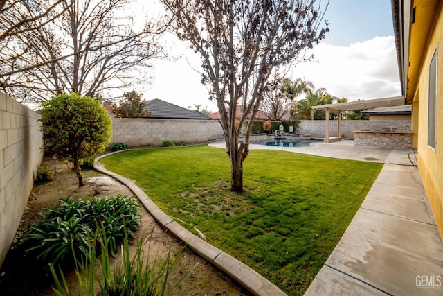 view of yard featuring a patio