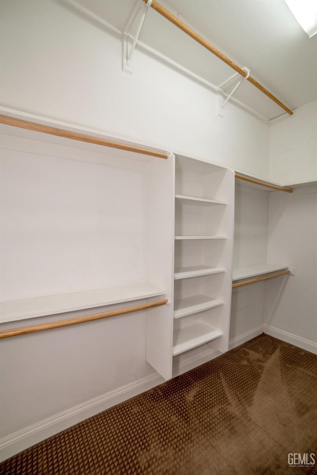 view of walk in closet